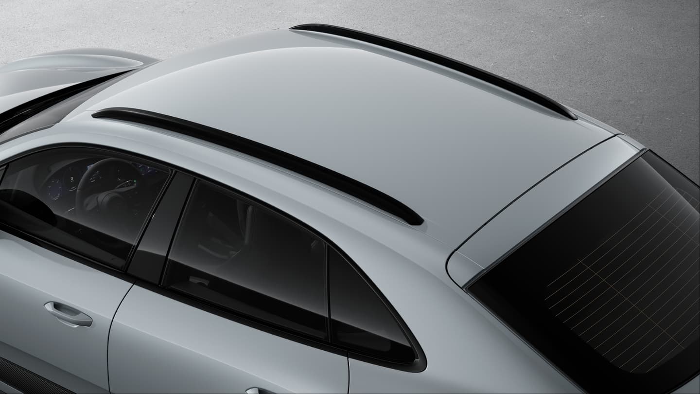 Dachreling Aluminium (schwarz)