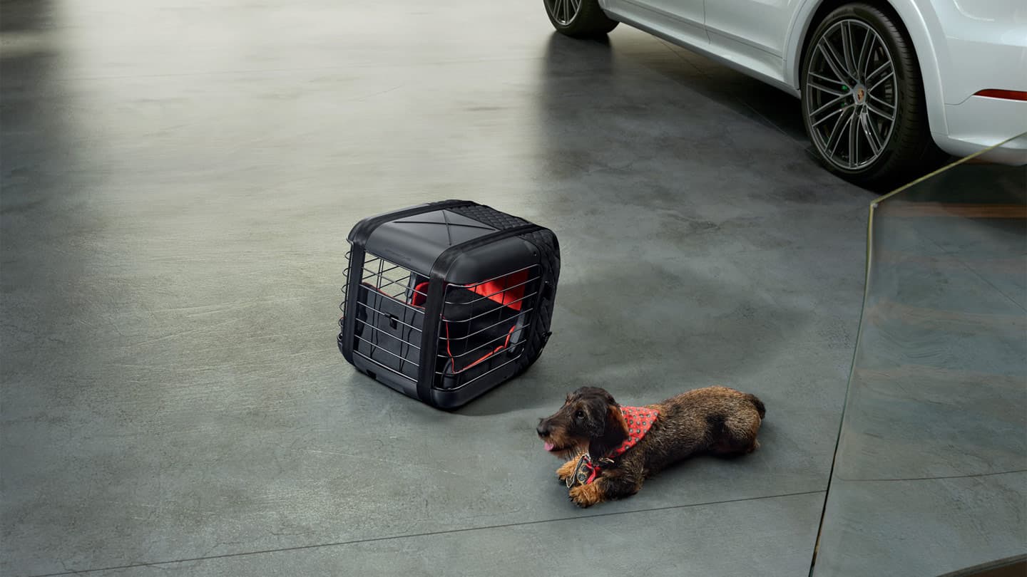 Hundetransportbox